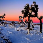 winter snow in southern california